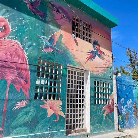 Pachamama Holbox - Hostel & Private Apartments المظهر الخارجي الصورة