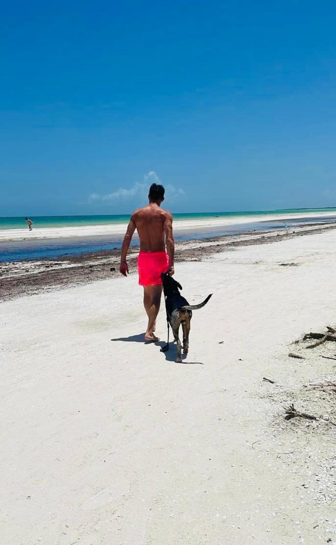 Pachamama Holbox - Hostel & Private Apartments المظهر الخارجي الصورة