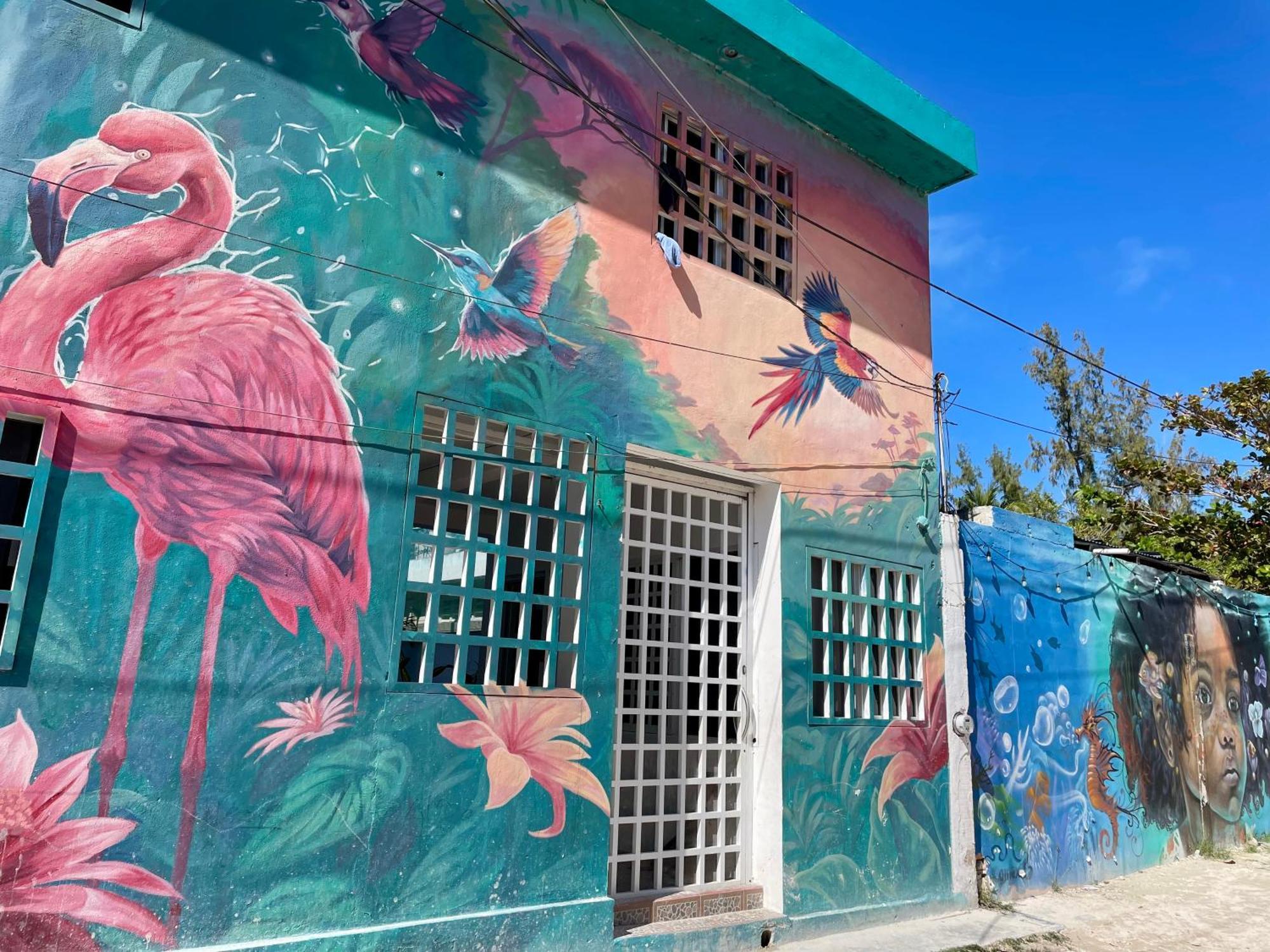 Pachamama Holbox - Hostel & Private Apartments المظهر الخارجي الصورة