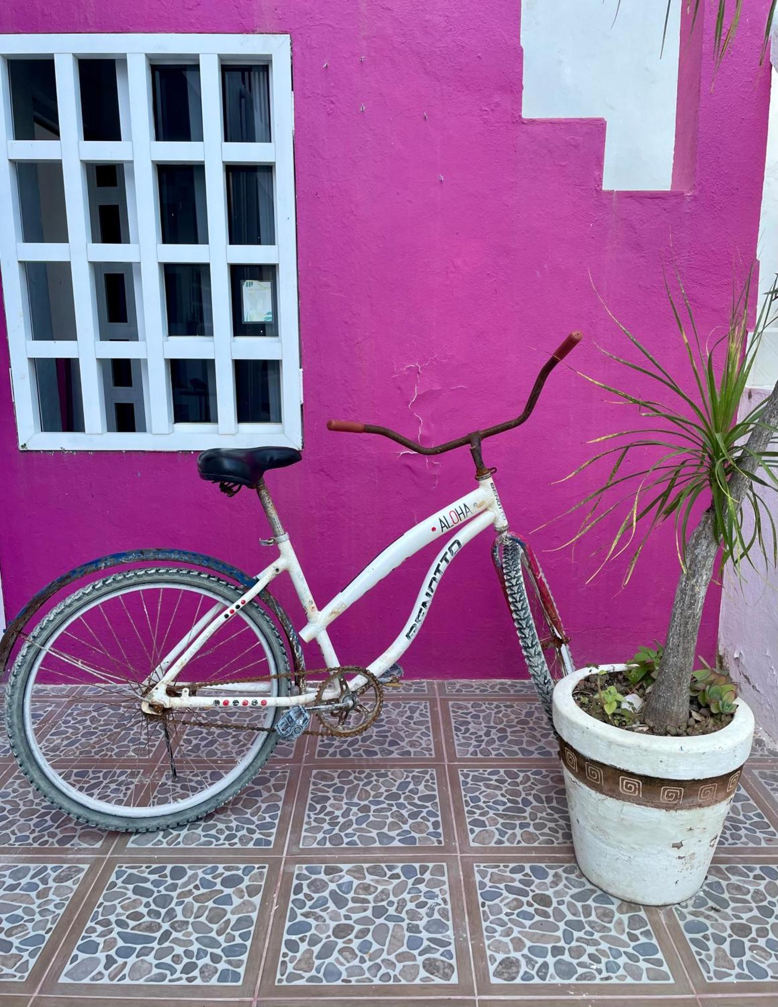 Pachamama Holbox - Hostel & Private Apartments المظهر الخارجي الصورة